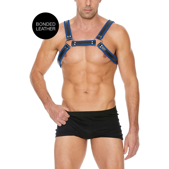 BUCKLE BULLDOG HARNESS - BLUE