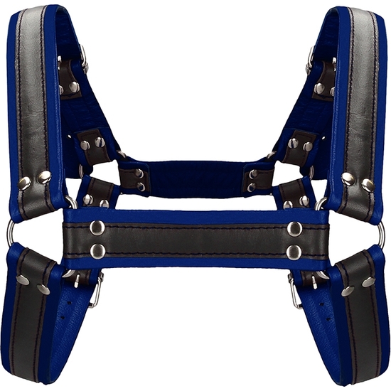 BUCKLE BULLDOG HARNESS - BLUE