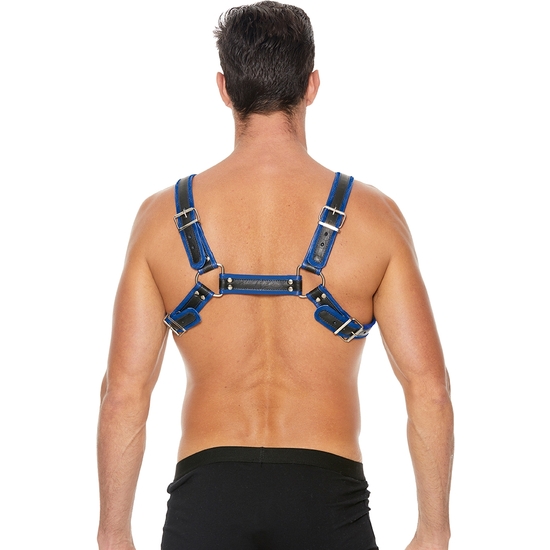BUCKLE BULLDOG HARNESS - BLUE