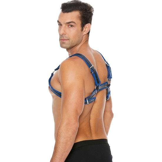 BUCKLE BULLDOG HARNESS - BLUE