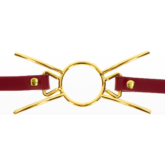 TABOOM SPIDER GAG