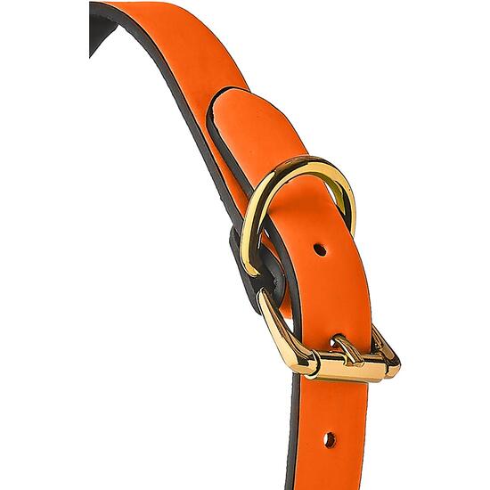 RADIANT ORANGE JAW