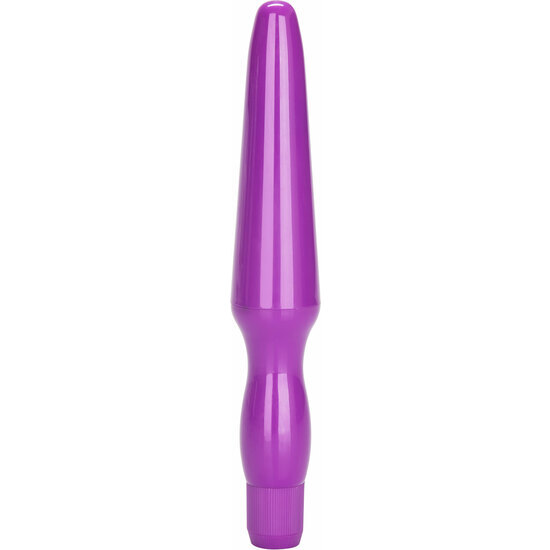 Purple Anal Vibrator