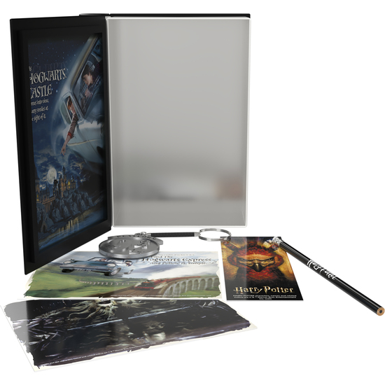 SET COLECCIONISTA HARRY POTTER Y LA CAMARA SECRETA