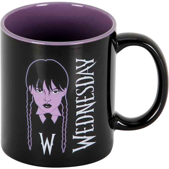 TAZA BRAIDS MIERCOLES