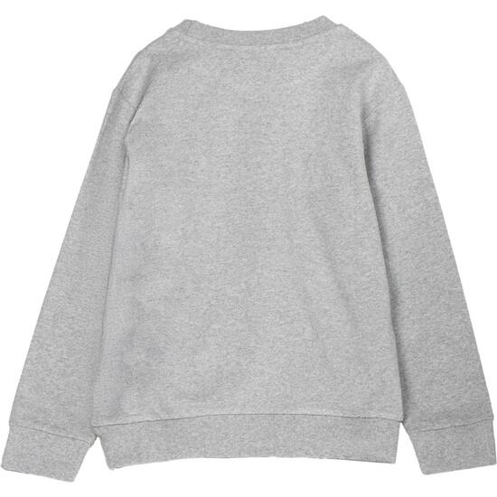 SUDADERA COTTON BRUSHED TOY STORY