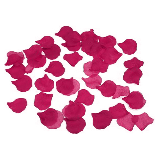 100 petalos color fuscia (1)