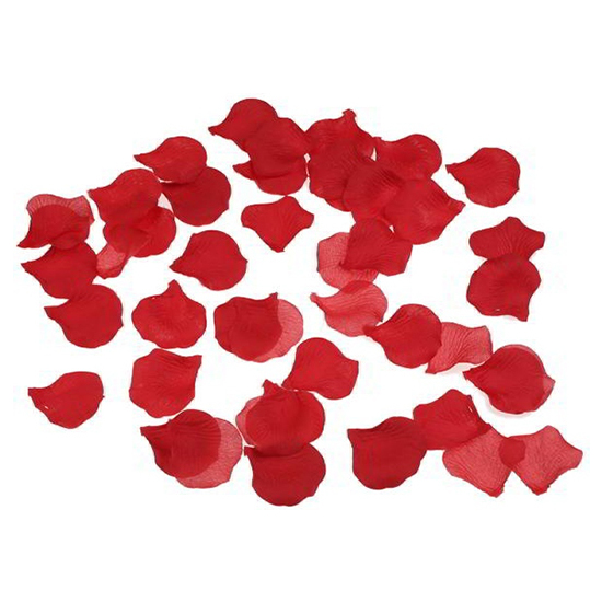 100 petalos color rojo (1)
